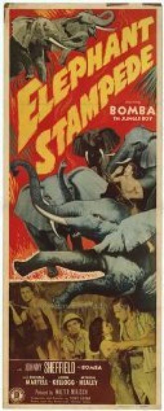 Elephant Stampede (фильм 1951)