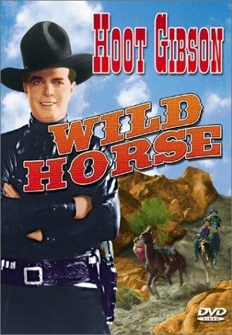 Wild Horse (фильм 1931)