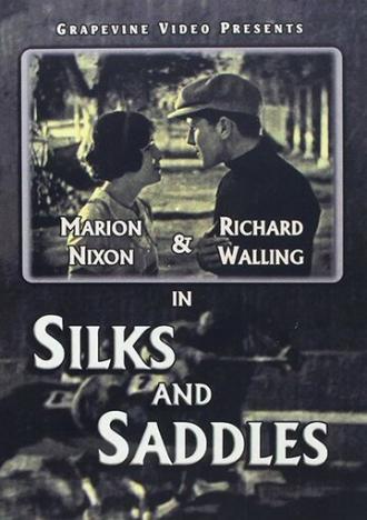 Silks and Saddles (фильм 1929)