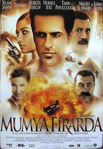 Мумия в бегах (фильм 2002)