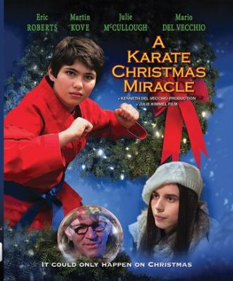 Рождественское чудо в стиле карате (фильм 2019)