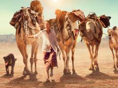 Фильмы про бедуинов