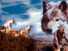 Фильмы семейные про волков