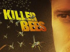 Фильмы ужасов про Пчел