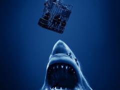 Австралийские фильмы про акул