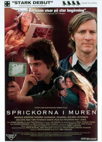 Sprickorna i muren (фильм 2003)