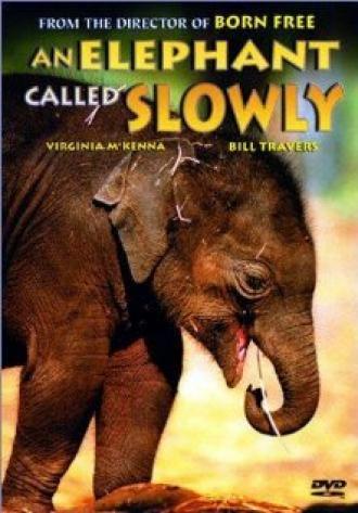 An Elephant Called Slowly (фильм 1970)