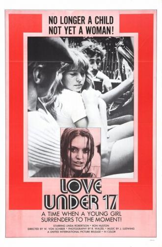 Liebe unter siebzehn (фильм 1971)