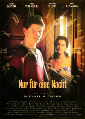 Только на одну ночь (фильм 1997)