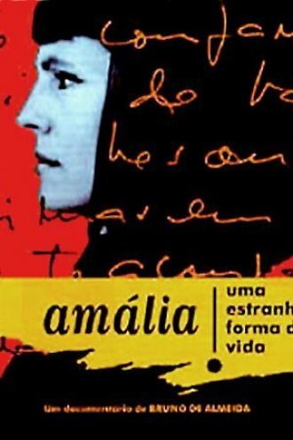 Амалия — такая вот странная жизнь (фильм 1995)