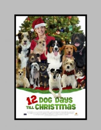 12 Dog Days of Christmas (фильм 2014)