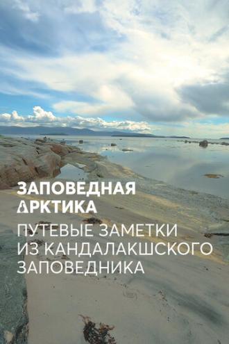 Заповедная Арктика. Путевые заметки из Кандалакшского заповедника (фильм 2019)