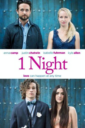 Одна ночь (фильм 2016)