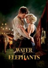 Воды слонам! (2011)