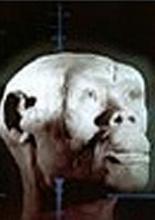 У истоков человечества (1976)