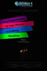 Путешествие звезды в темную ночь (2012)