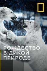 Рождество в дикой природе (2011)