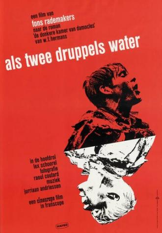 Как две капли воды (фильм 1963)