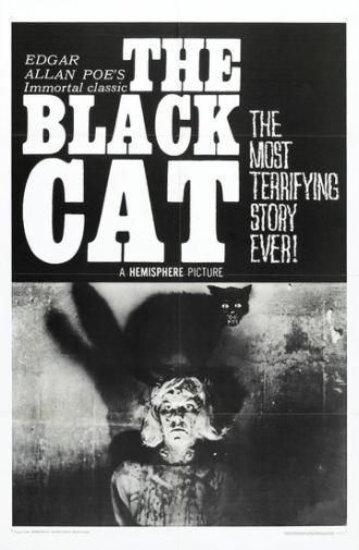 Чёрный кот (фильм 1966)