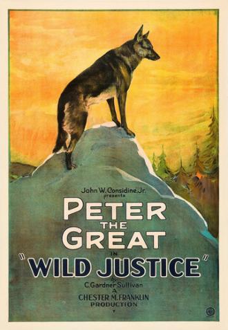 Wild Justice (фильм 1925)