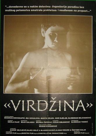 Virdzina (фильм 1991)