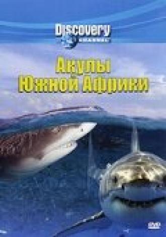 Discovery: Акулы Южной Африки (фильм 2001)