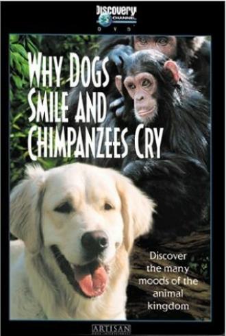 Почему собаки улыбаются и шимпанзе плачут (фильм 1999)