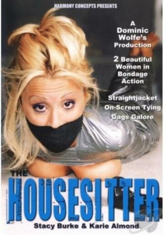 The Housesitter (фильм 2000)