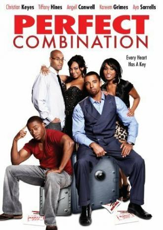Perfect Combination (фильм 2010)