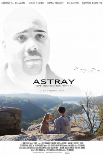 Astray (фильм 2014)