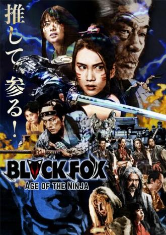 Чёрная лиса: Эпоха ниндзя (фильм 2019)
