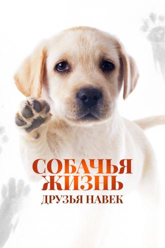 Собачья жизнь: Друзья навек (фильм 2023)