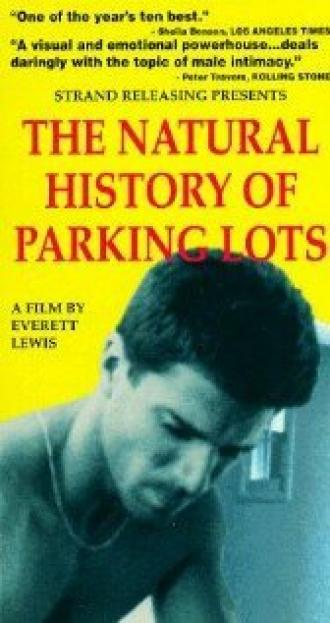 История о парковочных местах (фильм 1990)