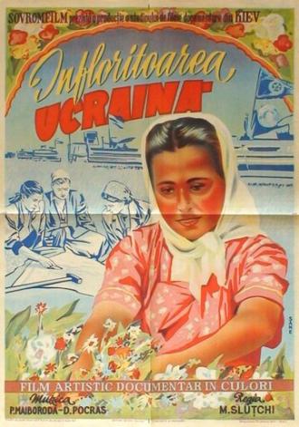 Цветущая Украина (фильм 1951)