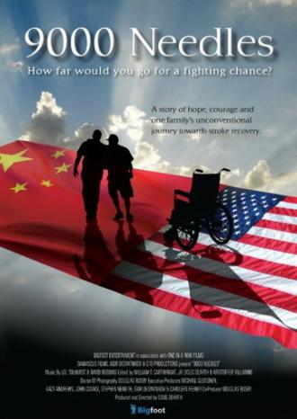 9000 игл (фильм 2009)