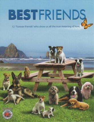 Best Friends (фильм 2014)