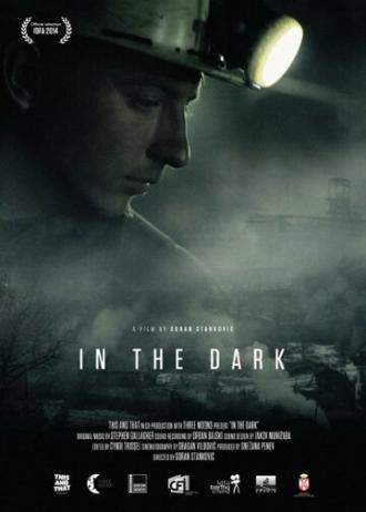 In the Dark (фильм 2014)