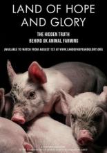 Земля Надежды и Славы (2017)