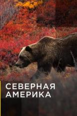 Северная Америка (2011)