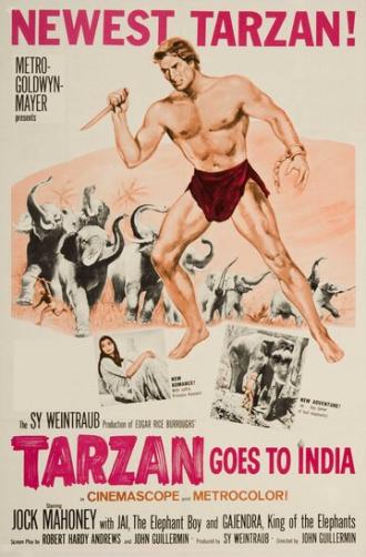 Тарзан едет в Индию (фильм 1962)