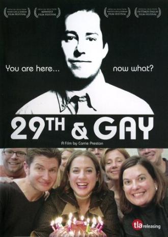 Двадцатидевятилетие гея (фильм 2005)