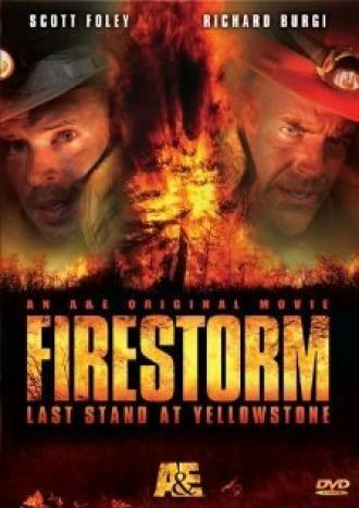 Огненный шторм (фильм 2006)