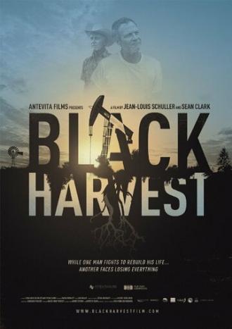 Black Harvest (фильм 2014)