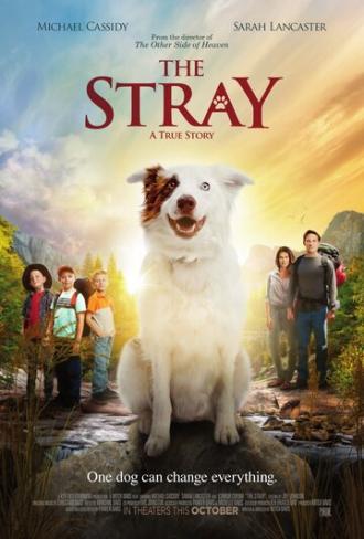 The Stray (фильм 2017)