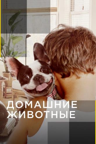 Домашние животные (сериал 2012)
