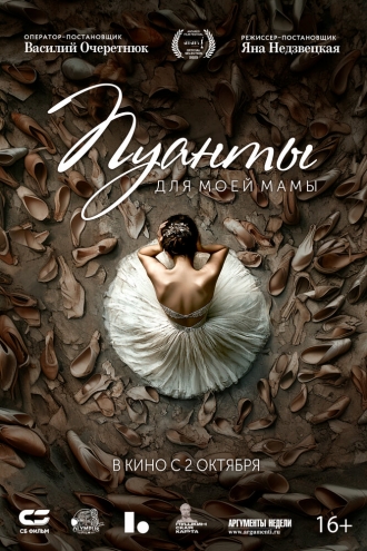 Пуанты для моей мамы