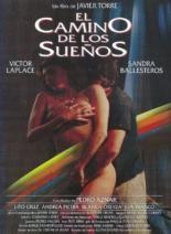 Путь мечты 1993