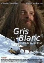 Gris blanc 2005