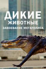 Дикие животные: Завоевание мегаполиса (2018)