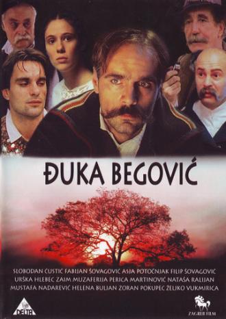 Djuka Begovic (фильм 1991)